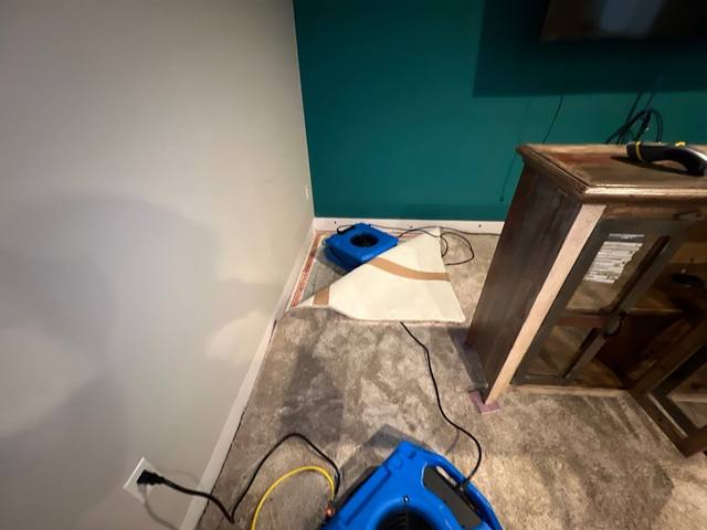 Wet basement carpet pulled back with an air mover drying the floor underneath in Lee’s Summit, MO