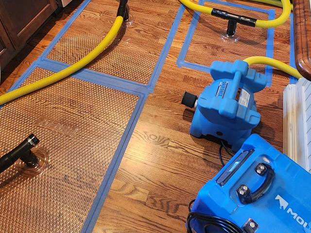 Drying mats, hoses and a dehumidifier on wet, cupped kitchen hardwood floors in Overland Park, KS